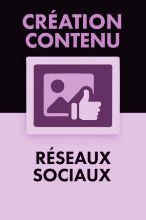 Création de contenu pour réseaux sociaux (1 publication)